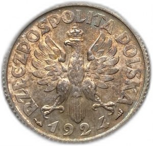 Pologne, 1 Zloty, 1924