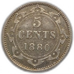 Kanada, Newfoundland 5 centov, 1880