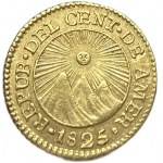 Středoamerická republika, 1/2 Escudo, 1825/4 NGM