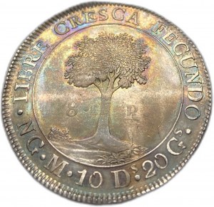 Středoamerická republika, 8 realů, 1836 NGM