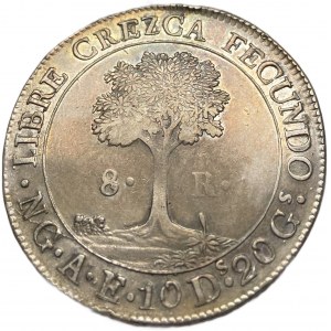 Středoamerická republika, 8 realů, 1846/2 NG AE