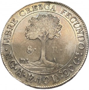 Central American Republic, 8 Reales, 1846/2 NG AE