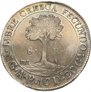 Středoamerická republika, 8 realů, 1846/2 NG AE