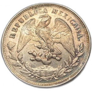 Mexico, 1 Peso, 1901 AM