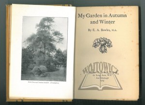 BOWLES E. A., My garden in autumn and winter.