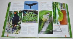 BIRDS of the world. Detailed descriptions of 800 species.