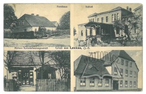 Kozel Meadows. Lenkau. (Upper Silesia).