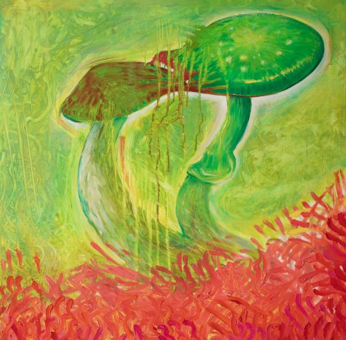 Paweł Dunal (ur. 1978), Mushroom Story, 2007