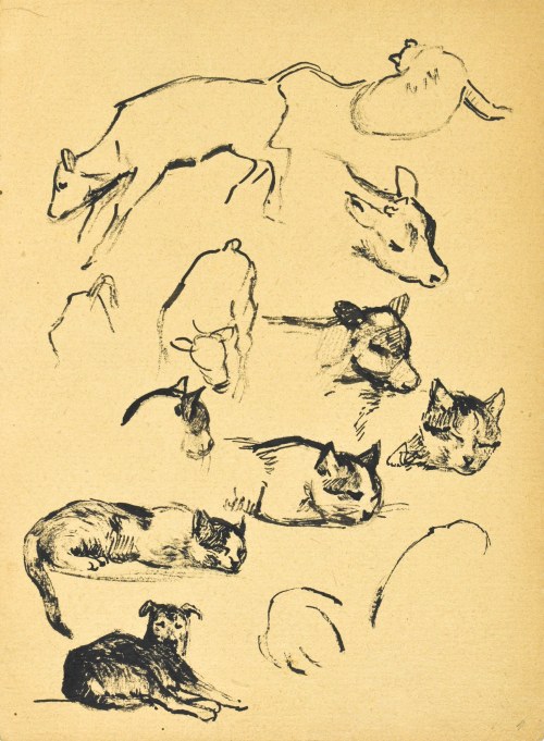 Ludwik MACIĄG (1920-2007), Szkice różne zwierząt