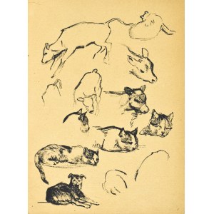 Ludwik MACIĄG (1920-2007), Verschiedene Skizzen von Tieren