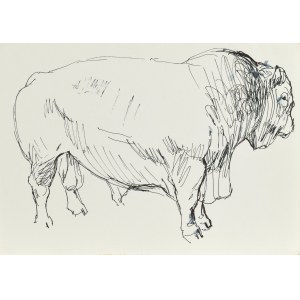 Ludwik MACIĄG (1920-2007), Bison