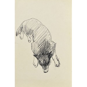 Ludwik MACIĄG (1920-2007), Dog.