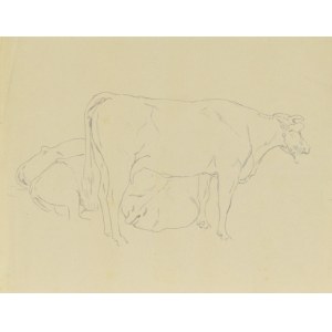 Ludwik MACIĄG (1920-2007), Cow