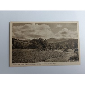 CARTE POSTALE TURKA NAD STRYJEM, GALICE, DISTRICT DE TURCZANY, PIC PIKUJ, VACHES, AVANT-GUERRE 1938