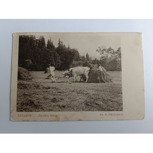 CARTE POSTALE DE TATARS, CHARRETTE À FOIN, FOT MIKOLASCH, VACHE, BŒUF, VILLAGE, FENAISON, AGRICULTURE, AVANT-GUERRE, TIMBRE, ESTAMPILLAGE