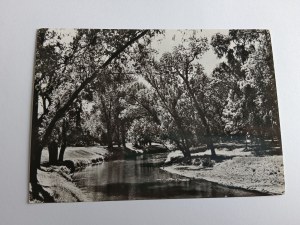 POSTKARTE PRL WLOCLAWEK FRAGMENT DES STADTPARKS