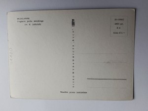 POSTKARTE PRL WLOCLAWEK FRAGMENT DES STADTPARKS