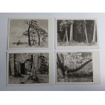 SET OF 9 POSTCARDS PAINTING LEON WYCZÓŁKOWSKI