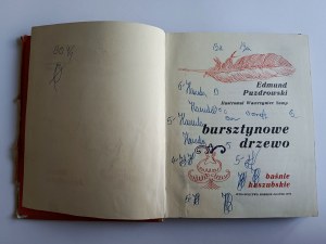 Puzdrowski Edmund, Bursztynowe Drzewo Basnie Kaszubskie KASZUBY 1974 Wydawnictwo Morskie