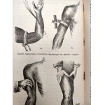Kowalski H. - O budowie i pielęgnowaniu ciała ludzkiego podczas choroby i zdrowia [ z 60 rycinami], Lwów 1902