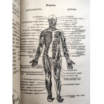 Dr. H.A.M. - Samarytanin - w nagłych wypadkach przed przybyciem lekarza, Lwów 1923 [ Ratownictwo]