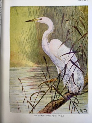 Atlas of Birds and Hunting Animals - Hunting and Hunting Z.S.R.R - Volume I - II - Birds and Beasts - Moscow 1952/3.