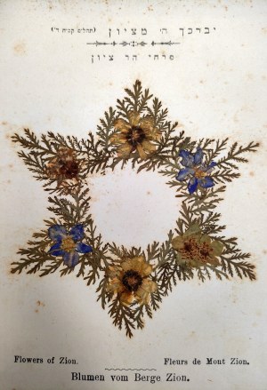 Souvenir Herbarium from Jerusalem from the end of the 19th century - with 11 cards decorated with natural flowers and herbs of the Holy Land - Jerusalem circa 1900 [ Judaica].