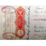 Zbiór 11 Urzędowych blankietów wekslowych z pieczęciami Poznań, Wąbrzeźno, Toruń - II RP [ weksel]