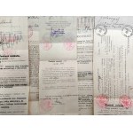 Zbiór 9 Urzędowych blankietów wekslowych z pieczęciami Gdańsk - Danzig, Wąbrzeźno, Grudziądz, Golub - II RP [ weksel]