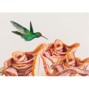 Monika Malewska, Colibrì e Bacon, 2019