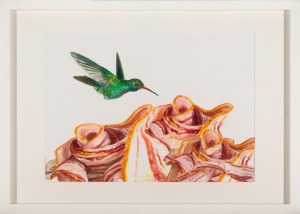 Monika Malewska, Colibrì e Bacon, 2019