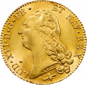 Louis XVI., 2 Louis d'Or 1786, D