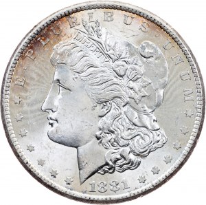 Bundesstaatliche Republik, Morgan Dollar 1881, S
