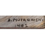 Antoni Piotrowski (1853 - 1924), Amazonka