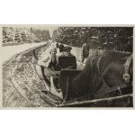 Artist Unknown (19th/20th century) (Zwolinski?), Nena Stachurska and Witkacy in a sleigh on the way to ski.