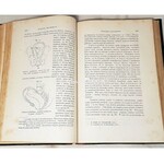BARNES- ODCZYTY O OPERACYACH AKUSZERYJNYCH wyd. 1875