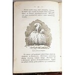 TYNDALL- WODA wyd. 1874 drzeworyty