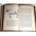 GRAFF- HODOWLA ZWIERZĄT  T. 1-2 (komplet w 2 wol.) wyd. 1886-7 hodowla koni, owiec, świń, ryciny