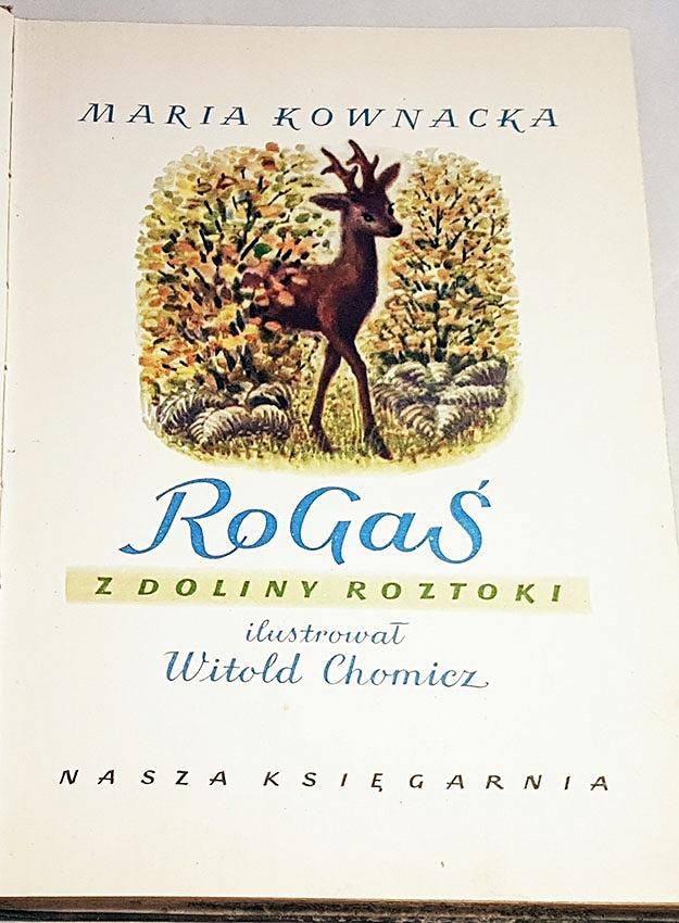 Streszczenie Lektury Rogaś Z Doliny Roztoki onebid.pl