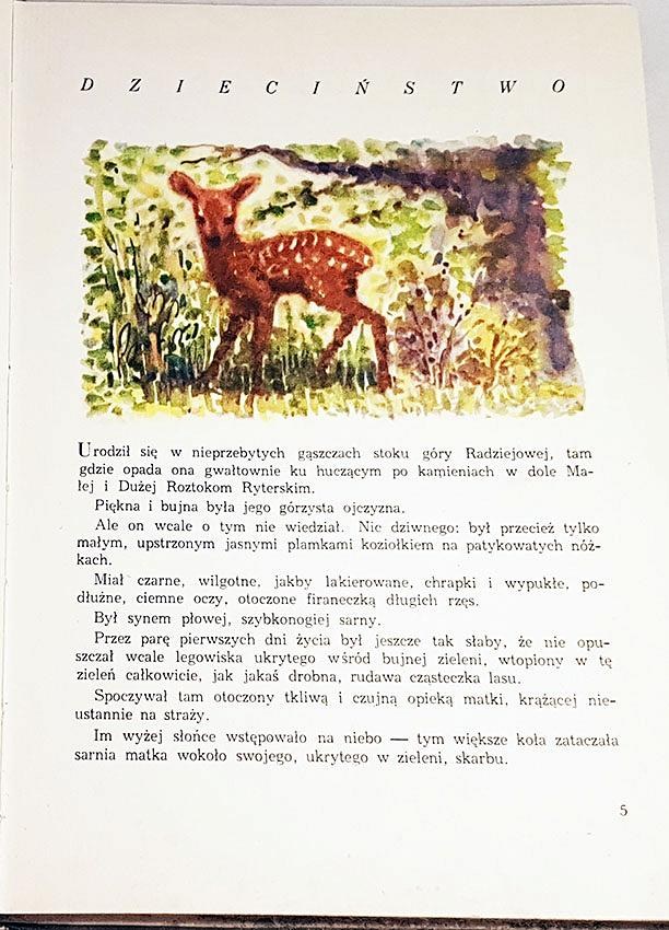 Streszczenie Lektury Rogaś Z Doliny Roztoki onebid.pl