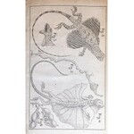 JAROCKI - ZOOLOGIIA czyli zwierzętopismo ogólne T. 1-6. Warszawa 1821-1838 RYCINY