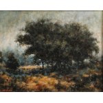 Jerzy Grzywacz, Landschaft mit Bäumen