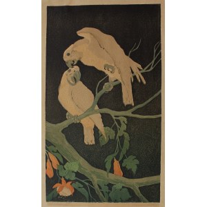 Alexander Lashenko, Courtship. Grey Parrots