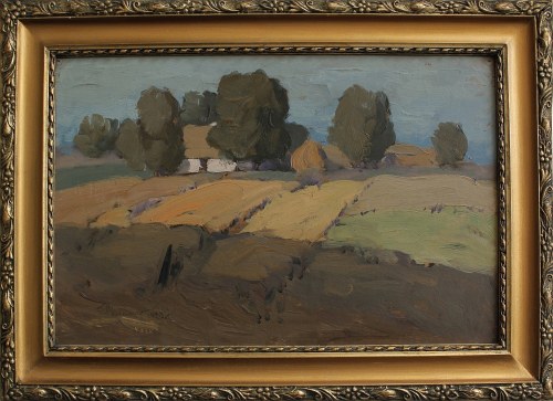 Zenobiusz Poduszko, Pejzaż z polami