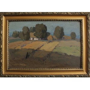 Zenobiusz Poduszko, Landscape with fields