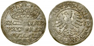 Polsko, penny, 1529, Krakov