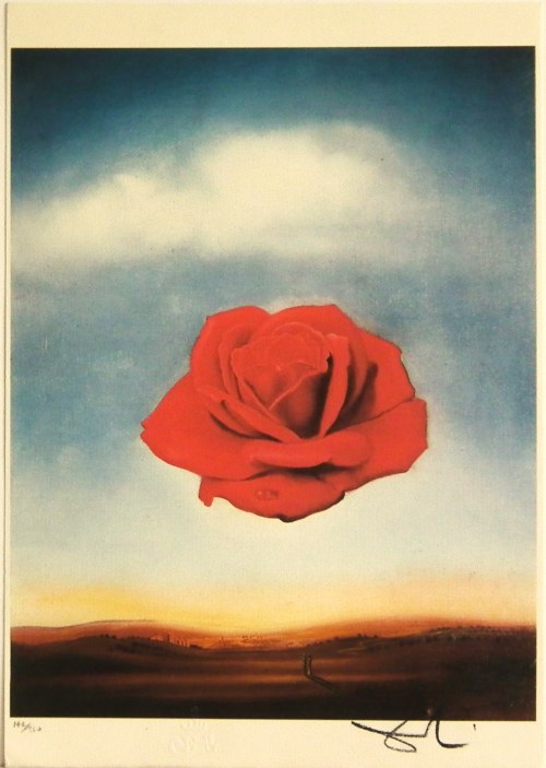 Salvadore DALI(1904-1989),Meditative Rose(Róża medytacyjna),1958