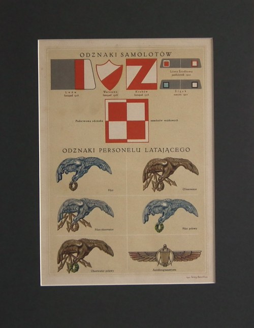 Jerzy Radlicz(1901-1938),Odznaki samolotów i personelu latającego,1933