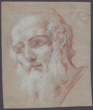 Male portrait, Roman school of the 17th century