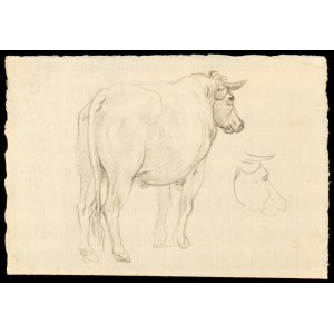 Francesco Londonio (zugeschrieben) (Mailand 1723-Milano 1783). Studie für einen Ochsen